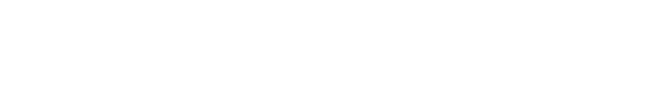 BONSIGUDO logo